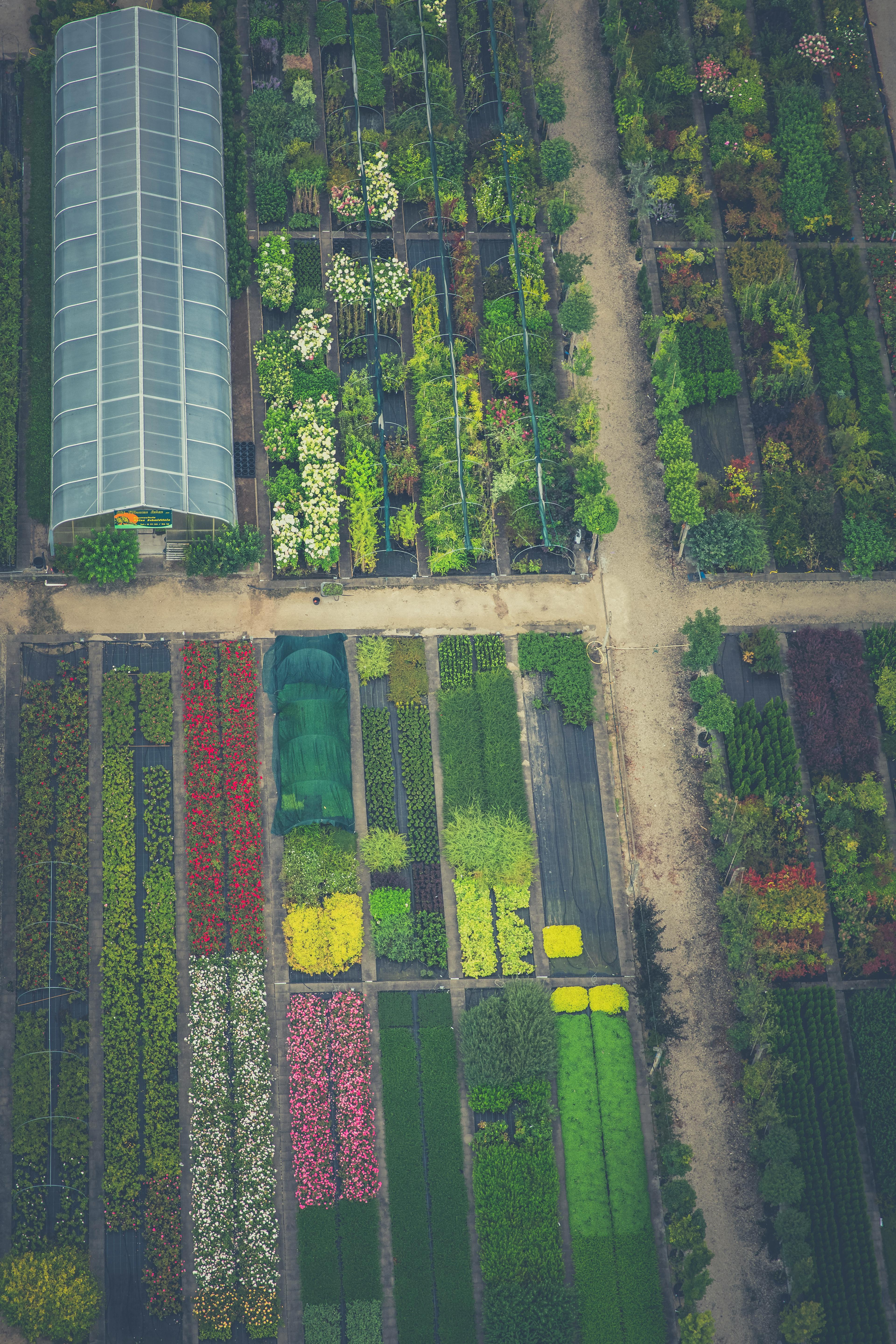 Gartenplanung Standortanalyse