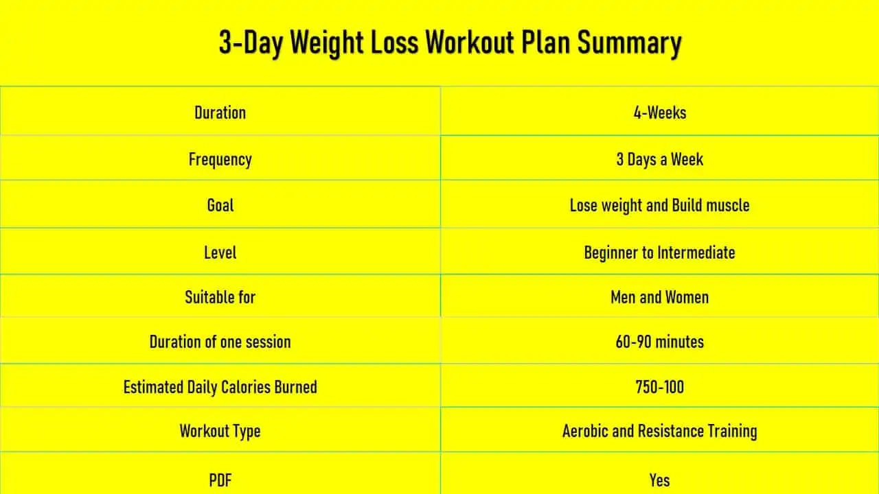 3er Split Trainingsplan Vektor