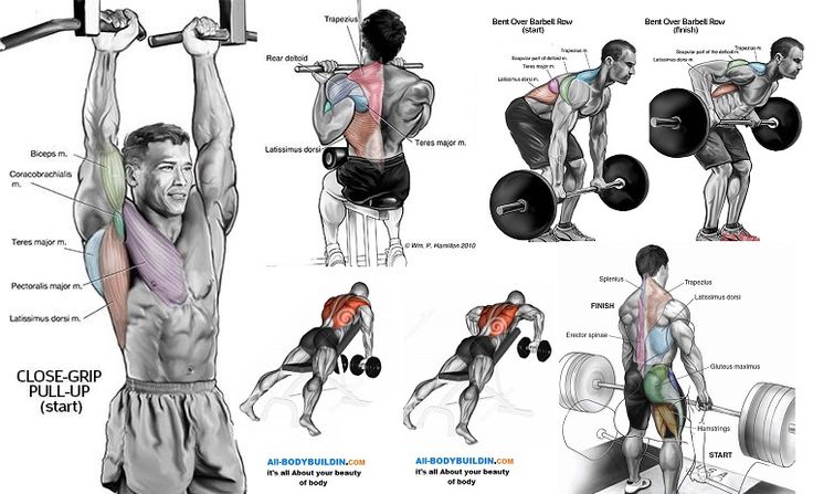 Seated Cable Row